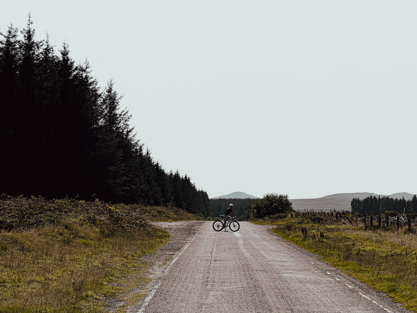 Carbon 50 Road Disc Wheelset