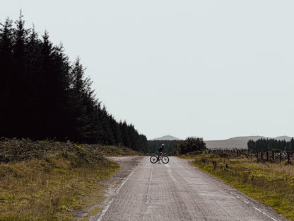 Carbon 50 Road Disc Wheelset