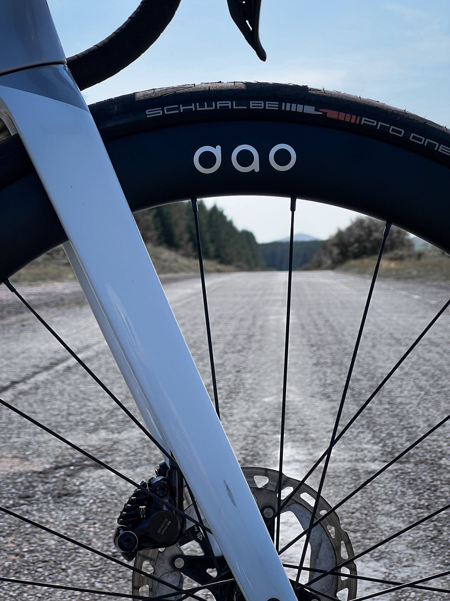 Carbon 50 Road Disc Wheelset